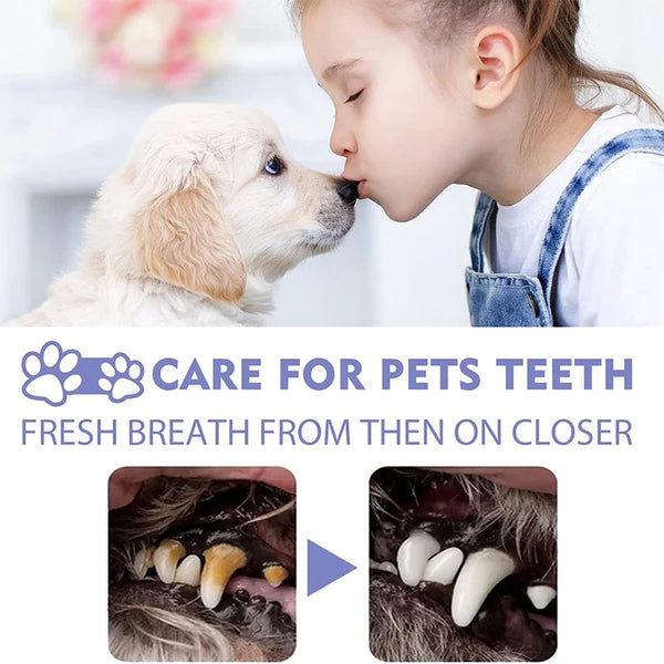 Paw care ™ Oral Spray, 🦷Teeth Cleaning Spray for Dogs & Cats🔥(BUY 1 GET 1 FREE OFFER )🔥