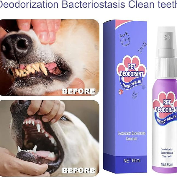 Paw care ™ Oral Spray, 🦷Teeth Cleaning Spray for Dogs & Cats🔥(BUY 1 GET 1 FREE OFFER )🔥