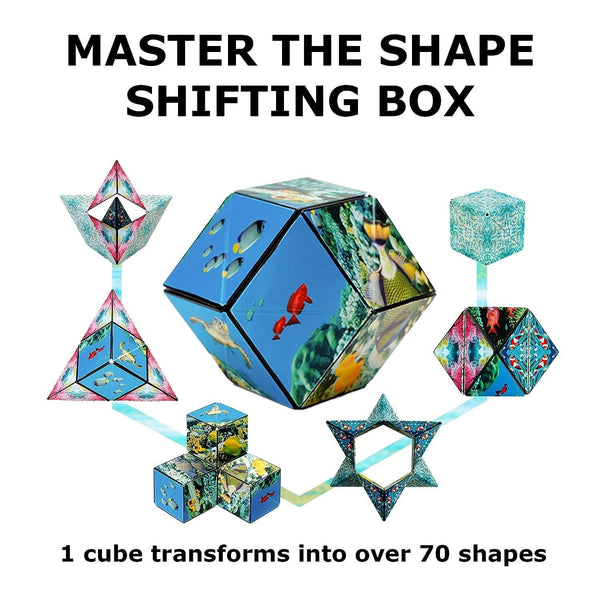 Magnetic Shape Shifting Box