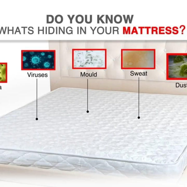 Fidato Double Bed Mattress Protector Sheet with 2 Pillow Protector